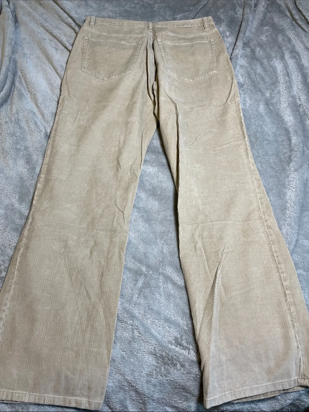 J.Crew Factory Beige Corduroy Pants